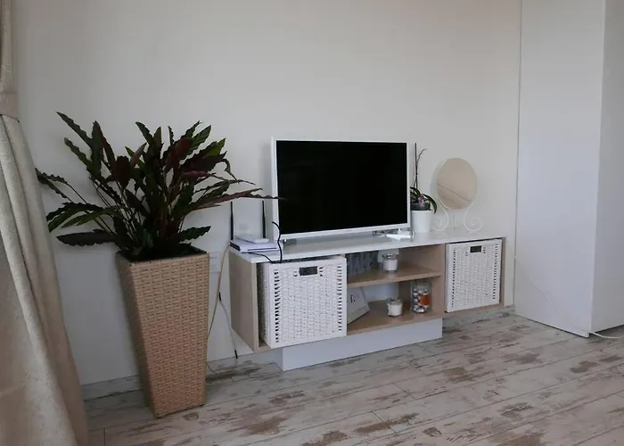 Charmful New Flat With Hill View Apartament Płowdiw